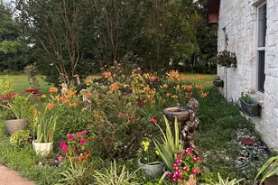 214 Vz County Road 4411, Ben Wheeler, TX 75754 - Photo 3