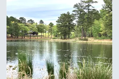 Lot 64 White Oak Creek Ranch, Big Sandy, TX 75755 - Photo 1