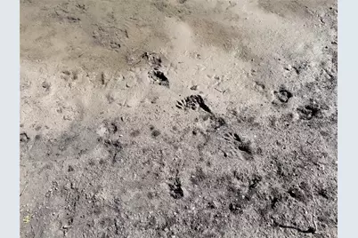 Tbd County Road 3204, Abbott, TX 76621 - Photo 11