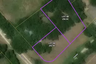 Lot 4A Atkinson St, Blooming Grove, TX 76626 - Photo 1