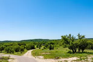 12031 Paradise, Bluff Dale, TX 76433 - Photo 5