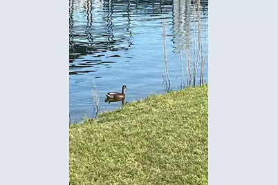 28021 White Bluff Drive, Whitney, TX 76692 - Photo 5