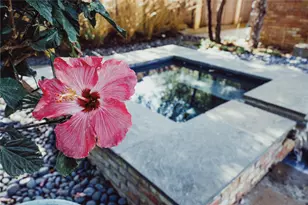 5301 W Mockingbird Ln, Dallas, TX 75209 - Photo 11