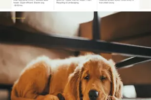 7333 Valley View Ln, Dallas, TX 75240 - Photo 33