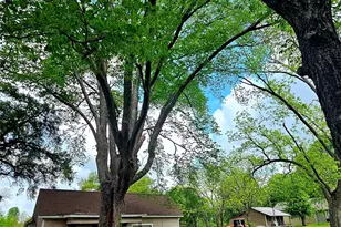 200 Jay St, Trinidad, TX 75163 - Photo 11