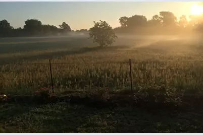 200 Vz County Road 4124, Canton, TX 75103 - Photo 39