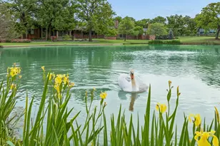 1 Paigebrooke, Westlake, TX 76262 - Photo 37