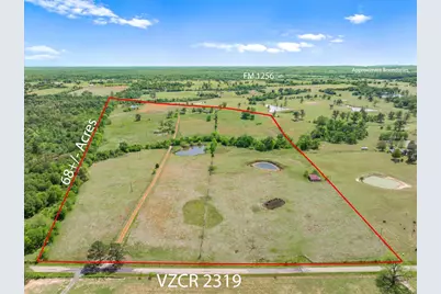 1421 Vz County Road 2319, Canton, TX 75103 - Photo 3