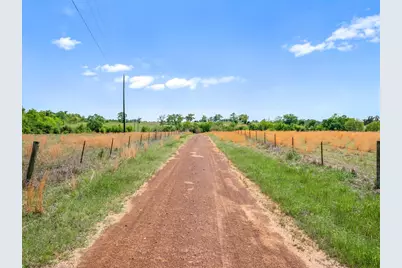 1421 Vz County Road 2319, Canton, TX 75103 - Photo 13