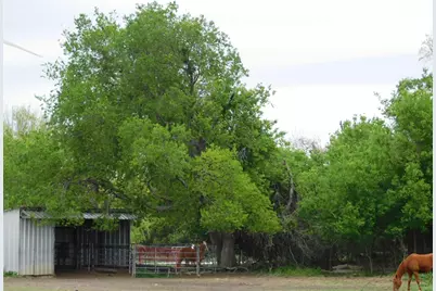 1032 Fm 936, Hubbard, TX 76648 - Photo 5