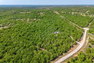 313 Broken Rd Rd, Perrin, TX 76486 - Photo 31