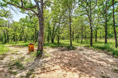313 Broken Rd Road, Perrin, TX 76486 - Photo 29