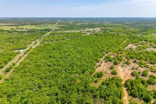 313 Broken Rd Rd, Perrin, TX 76486 - Photo 33