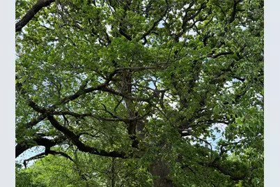 3107 Briar Lane, Southlake, TX 76092 - Photo 23