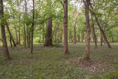 1451 Meandro Ria Lane, Fairview, TX 75069 - Photo 33
