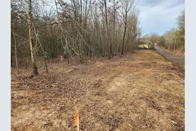 Lot 2 Cr 2310, Sulphur Springs, TX 75482 - Photo 3