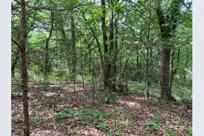 3024 Ida Lane, Alvarado, TX 76009 - Photo 13