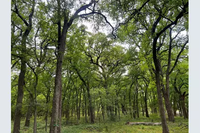 3024 Ida Lane, Alvarado, TX 76009 - Photo 11