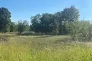 Lot 102 Brookview Ct, Bridgeport, TX 76426 - Photo 1