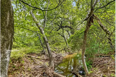 539 Cemetery Road, Pottsboro, TX 75076 - Photo 27