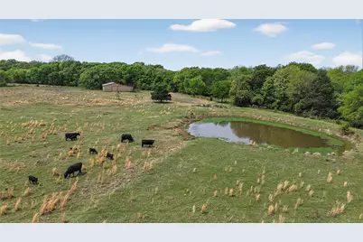 539 Cemetery Road, Pottsboro, TX 75076 - Photo 3