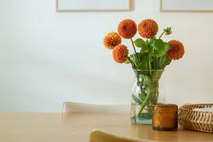 2017 Bluebonnet Dr, Fort Worth, TX 76111 - Photo 23