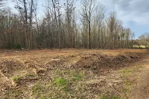 Lot 3 Cr 2310, Sulphur Springs, TX 75482 - Photo 1