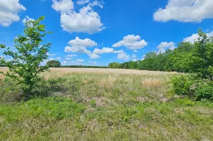 Lot 1 Cr 3609, Edgewood, TX 75117 - Photo 1