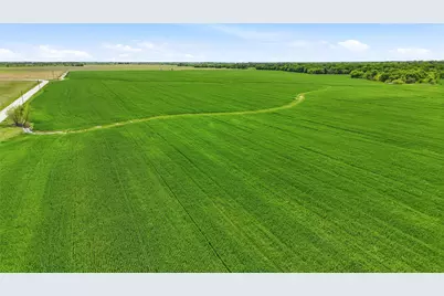 200+ Acres Davis Road, Whitesboro, TX 76273 - Photo 7