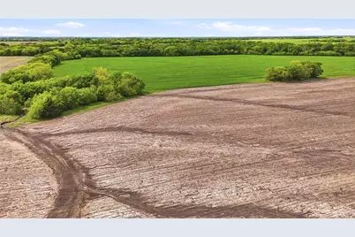 200+ Acres Davis Road, Whitesboro, TX 76273 - Photo 17