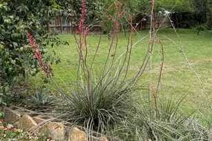 403 Ave E Ave, Valley Mills, TX 76689 - Photo 9