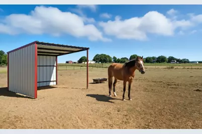 351 My Lane, Millsap, TX 76066 - Photo 11