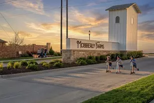 14033 Earlham St, Pilot Point, TX 76258 - Photo 3