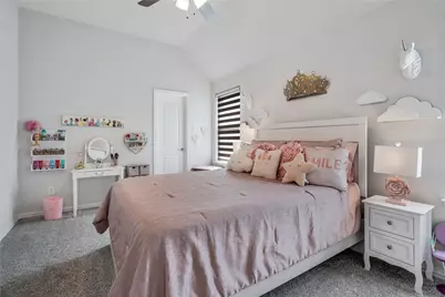 11908 Vista Meadow Lane, Frisco, TX 75035 - Photo 27