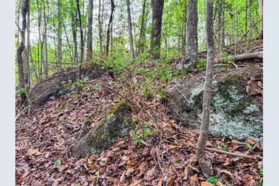 000 Fm 838, Overton, TX 75684 - Photo 31