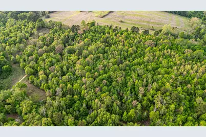 000 Fm 838, Overton, TX 75684 - Photo 7