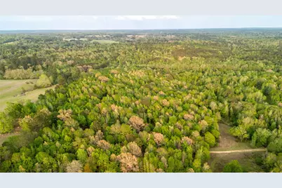 000 Fm 838, Overton, TX 75684 - Photo 13