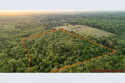 000 Fm 838, Overton, TX 75684 - Photo 3