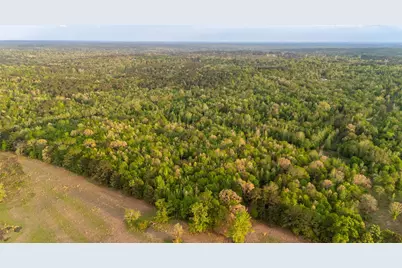 000 Fm 838, Overton, TX 75684 - Photo 11