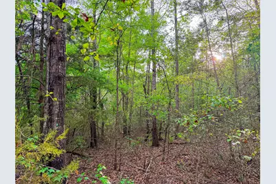 000 Fm 838, Overton, TX 75684 - Photo 33