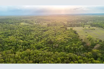 000 Fm 838, Overton, TX 75684 - Photo 9