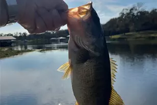 5327 Dusty Rd, Athens, TX 75752 - Photo 35