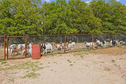 1406 N Johnson Loop, Montague, TX 76251 - Photo 29