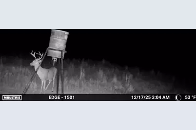 7215 Highway 569, Cisco, TX 76437 - Photo 5