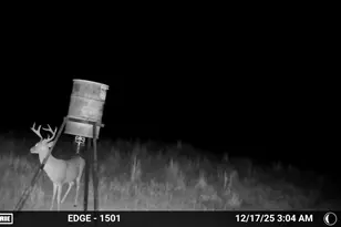 7215 Hwy 569, Cisco, TX 76437 - Photo 5