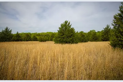 Lot 5 Pr 291, Dodd City, TX 75438 - Photo 15