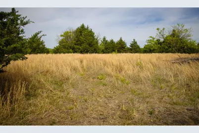 Lot 5 Pr 291, Dodd City, TX 75438 - Photo 21