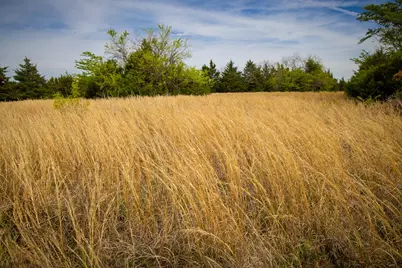 Lot 5 Pr 291, Dodd City, TX 75438 - Photo 7