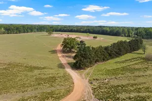 1018 Co Rd 4287, Winnsboro, TX 75494 - Photo 37