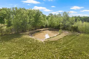 1018 Co Rd 4287, Winnsboro, TX 75494 - Photo 39